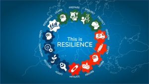O que é Resiliencia | What is Resilience